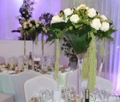 salle-mariage-les-palmiers