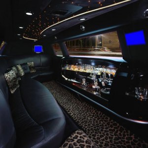 limousine-leopard-montpellier