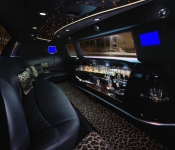 limousine-leopard-montpellier