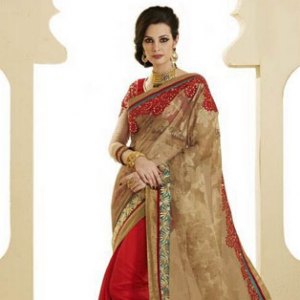 sari indien femme