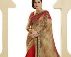 sari indien femme