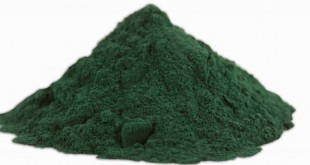 spiruline bienfaits