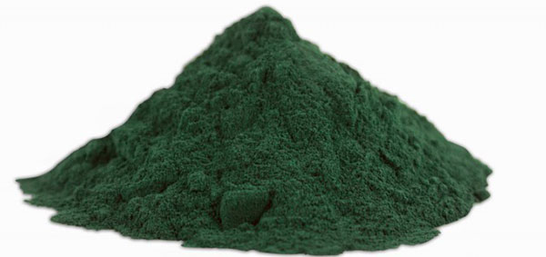 spiruline bienfaits